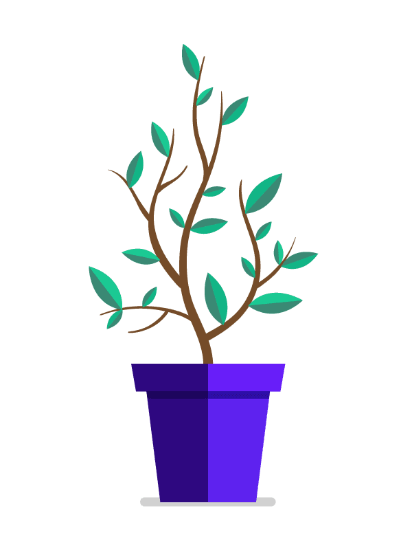 Lightyear Health growth illustration