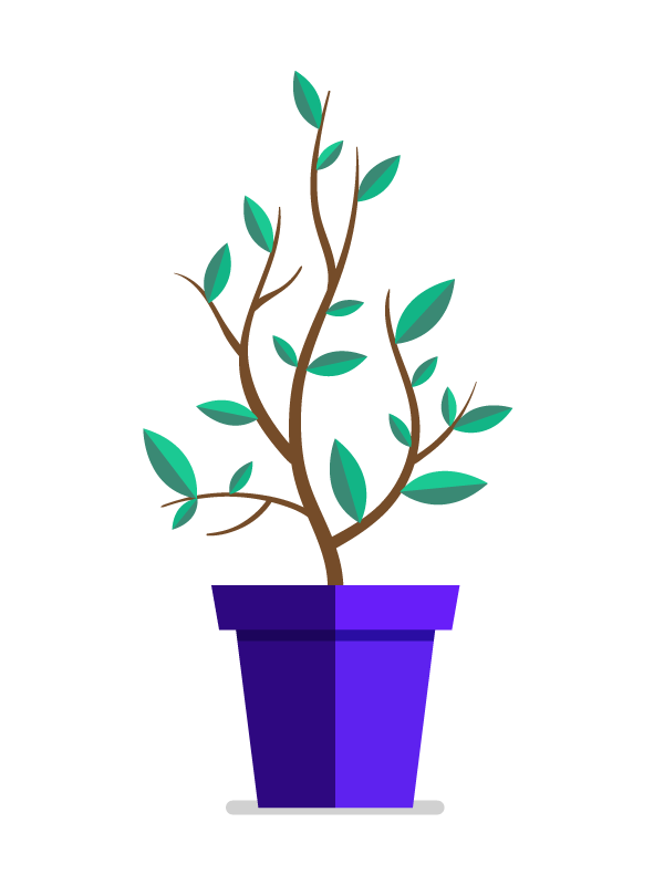 Lightyear Health growth illustration