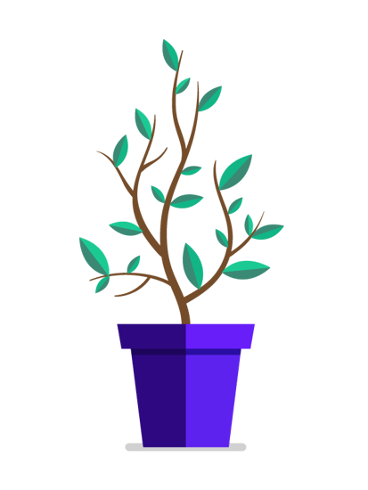 growth-graphic
